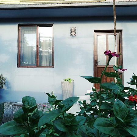 Rudolf Apartment Borjomi Exterior photo